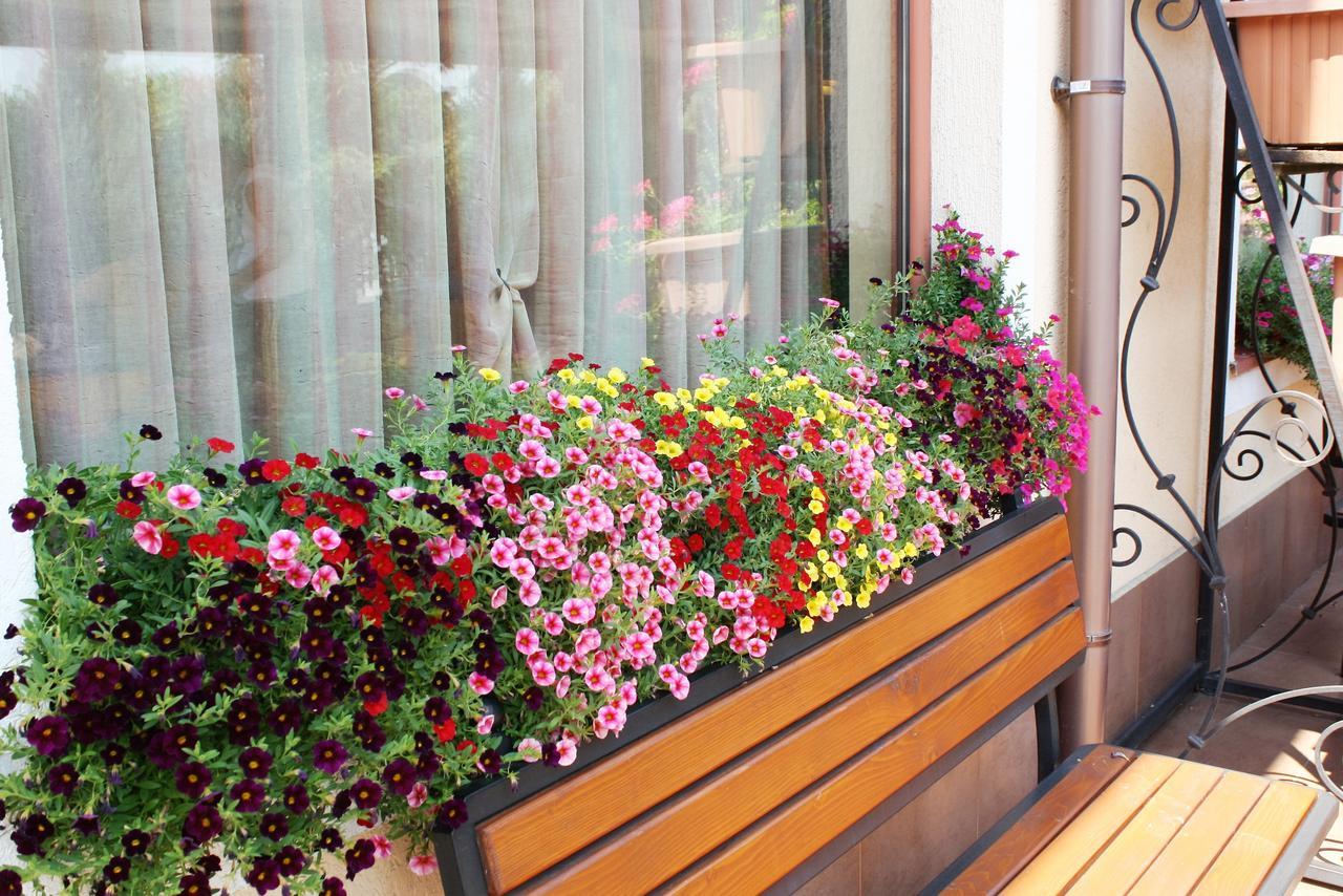Hotel Villa Verde Gulubovo  ภายนอก รูปภาพ